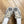 GG Sneaker Tennis 1977 Trainer Black Caro