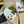 GG Cut Out Slide Sandals White