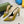 GC Embellished Slingback Acid Green Patent Leather 294622