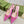 GC Horsebit Slingback Pump 10mm Pink Canvas Sheepskin 294543