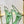 GC 2025 Crystal Embellished High Heels Slingbacks Green Silk Sheepskin 294525
