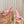 Miu 26s Bow Slippers Pink Leather 768203