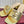 GC 25 Interlocking G Heeled Sandal Gold Patent Leather 294639
