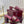 GC 25 Horsebit Sandals 50mm Red Suede Sheepskin 294653
