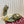 GC 25 Thong Sandal Dark Green Suede Sheepskin 294659