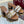 GC 25 Horsebit GG 50mm Sandals Brown Canvas Sheepskin 294666
