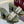 GC 25 Horsebit GG 50mm Sandals Dark Green Canvas Sheepskin 294667