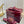 GC 25 Horsebit GG Sandals Red Canvas 294673