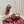 GC 25 Thong Sandal Red Canvas 294681