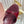 Miu Buckle Mules 75mm Burgundy Patent Leather 880204