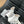 CC Ankle Boot White Calfskin Black Grosgrain