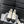 CC Ankle Boots White Mix Black Calfskin  937066