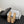 CC 26C Slippers Flat Beige Suede 717797