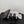 CC 26K Camellia Slippers Black Suede 914833