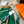 Flagship Scarf 140 CM In Dark Green Colorful Cashmere And Mulberry Silk 376506