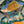 Flagship Scarf 140 CM In Dark Green Colorful Cashmere And Mulberry Silk 376506