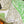 HM La Nouvelle Cite Cavaliere Scarf 90x90cm Green Twill Silk 303282