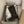 UGG Platform Foldable Tall Boots Dark Brown Suede Shearing