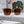TRIOMPHE SUNGLASS 497816 IN NUDE METAL