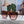 TRIOMPHE SUNGLASS 497830 IN HAVANA ACETATE EMBOSSED LOGO