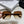 TRIOMPHE SQUARE SUNGLASSES 552781 IN HAVANA ACETATE