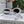 TRIOMPHE SUNGLASSES CL40194 IN ACETATE