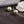 CD 26S Double Pearl Arrow Stud Earrings In Gold Tone Metal 631863