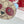 Gucci Etoupe Red Blue Panda Bag Charm