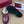 Gucci FW 25 Horsebit Suede Clog Deep Burgundy Leather with Shearling 506442