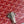 DUCHESSE MARIE-CAROLINE BAG 25 IN RED GOYARDINE CANVAS AND SMOOTH CALFSKIN
