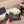 CD COMBAT BASIC SHOE SYRUP POLISHED CALFSKIN