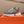 HM Men's Expert Sneaker Grey Flyknit With Leather 573341