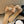 mule sandal bow flower beige calfskin