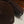 LE COEUR BAG 21 IN HICKORY BROWN SUEDE