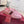 GG Stretch Low-Top Trainers Pink Canvas 824430