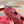 GG 26s Double G Sandals Red Canvas 929384