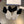 GLOVES IN DOVE GRAY WOOL WITH LARGE BLACK BOW 464994