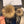CC 26s Gloves 403819