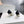 CC FW26 High Heels Pumps 8.5cm White Black Lambskin 942739