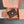 WALLET 12 IN ZAMBEZI BROWN SMOOTH CALFSKIN GOLD HARDWARE