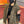 SCARF 180 CM IN OLIVE GREEN MONOGRAM CASHMERE 394642