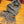 SCARF 180 CM IN MOUSE GRAY CASHMERE 396479
