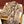 CC Scarf 190 CM In Dark Beige With Brown Stripes Wool  420037