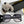 MONTAIGNE SUNGLASS CD3311 IN ACETATE