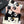 CC 25 Scarf 140cm Light Pink Black Cashmere 293180