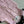 Chanel 25P Gilet Pink Cotton and Wool Tweed 235902