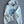 Gucci 2025 Hooded Sweater White Blue Cotton 286045