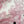 CD 25 Jouy Print Sleeveless Dress Pink Silk Cotton