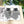 GLOVES IN DOVE GRAY WOOL WITH BLACK LOGO 425404