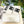 GLOVES IN WHITE MIX BLACK WOOL KNIT 462430